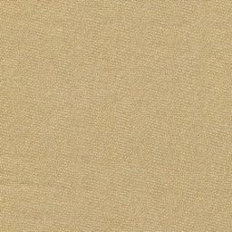 Dutcg heritage - Pin dot Gold 1503 large.jpg