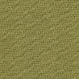 DHER1503-OLIVE.jpg